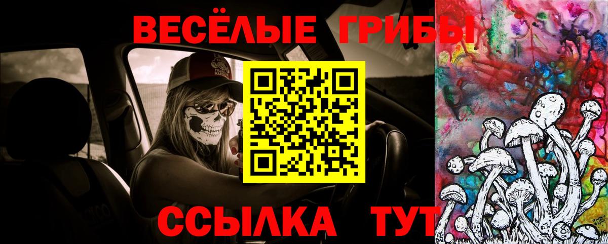 Верхняя Салда  Псилоцибиновые грибы мухоморы  Вход с VPN 